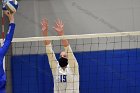 Women’s VB intersquad  Women’s Volleyball inter-squad match. : Women’s Volleyball, VB, inter squad, intersquad
